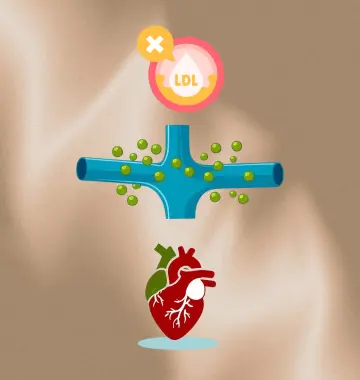 Endocrinologista para colesterol alto em Goiânia